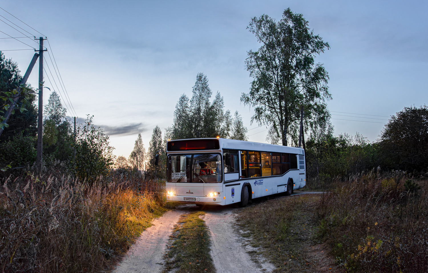 Gomiel, MAZ-103.465 # 12475