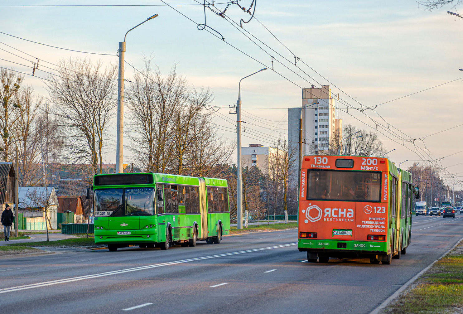 Gomiel, MAZ-105.465 # 036552; Gomiel, MAZ-105.060 # 25046