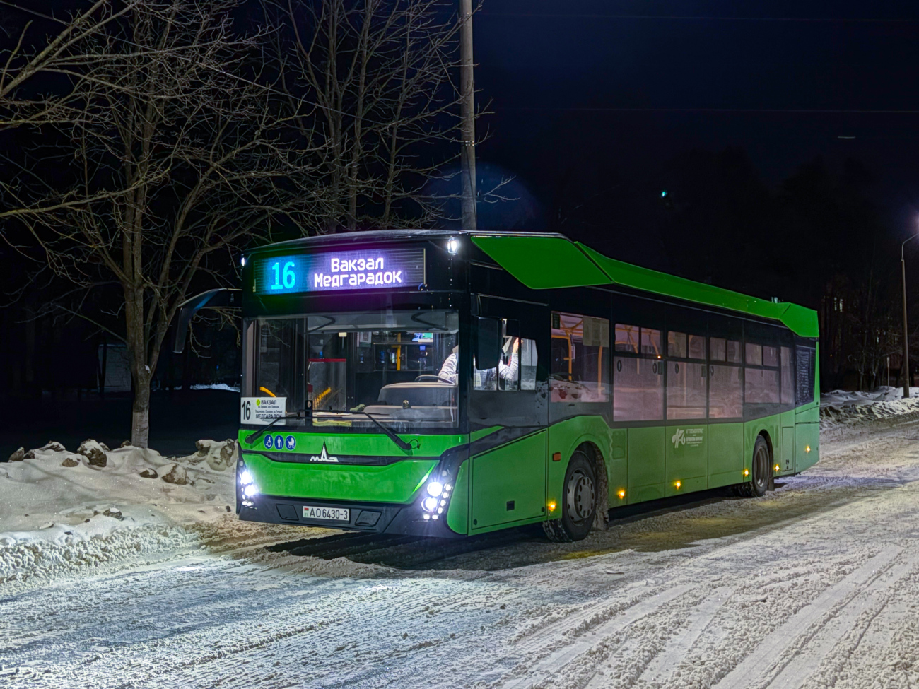 Gomiel, MAZ-303.047 # 26484
