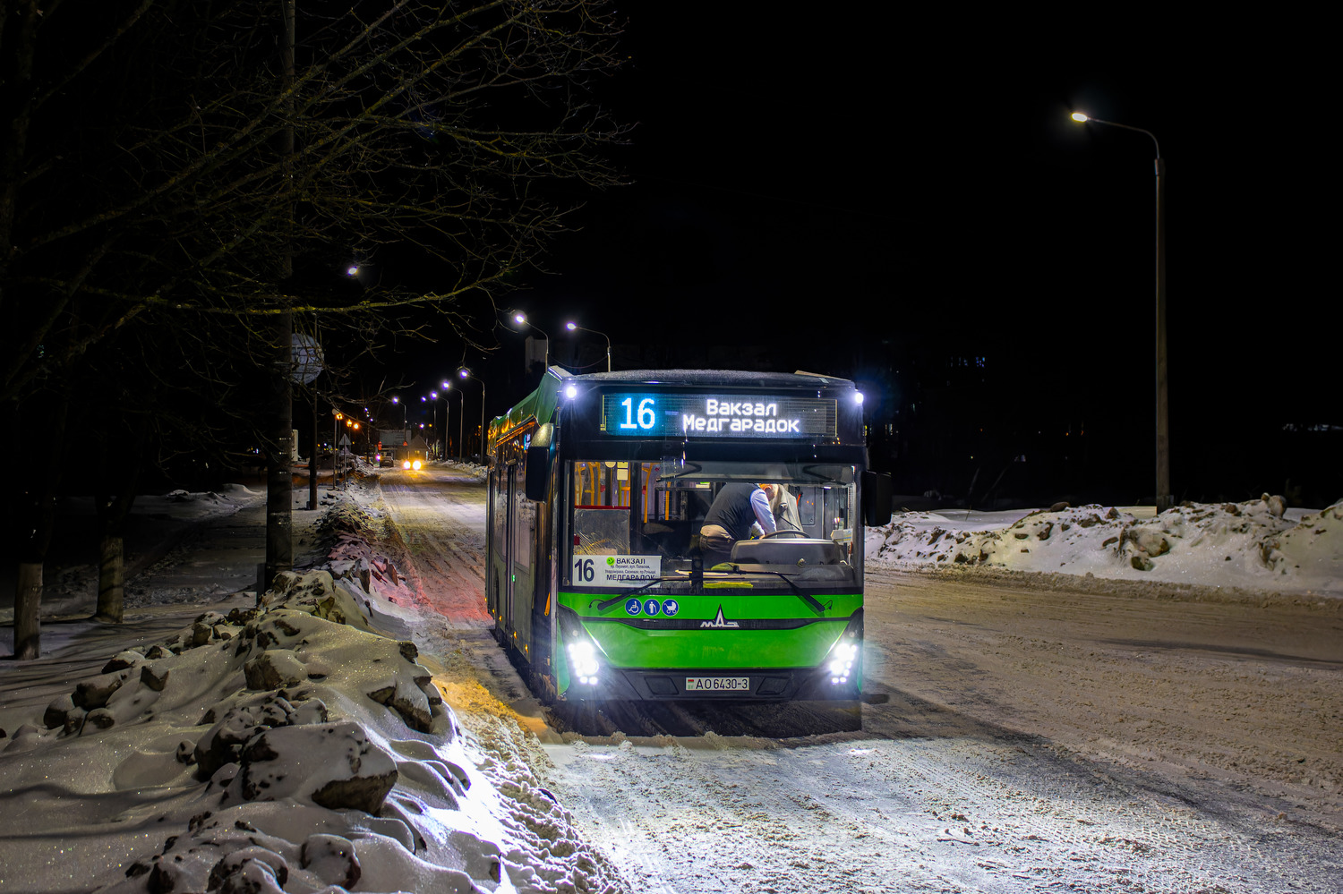 Gomiel, MAZ-303.047 # 26484