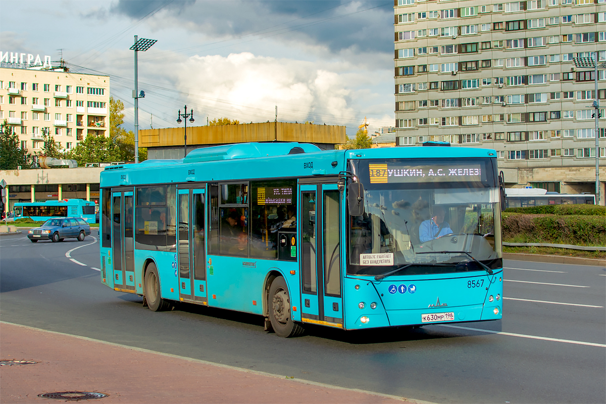Saint Petersburg, MAZ-203.016 # 8567