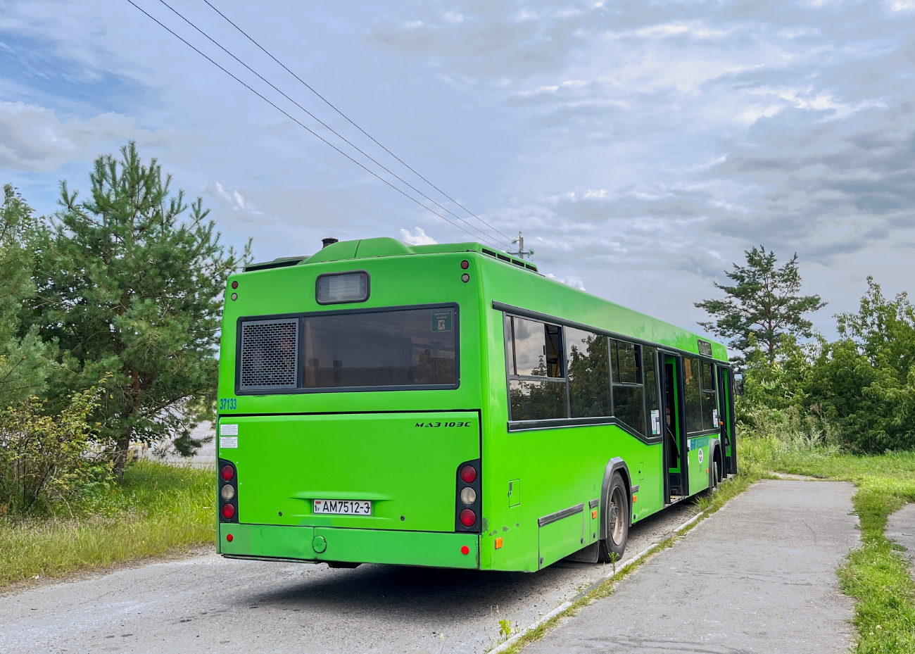 Гомель, МАЗ-103.586 № 037133