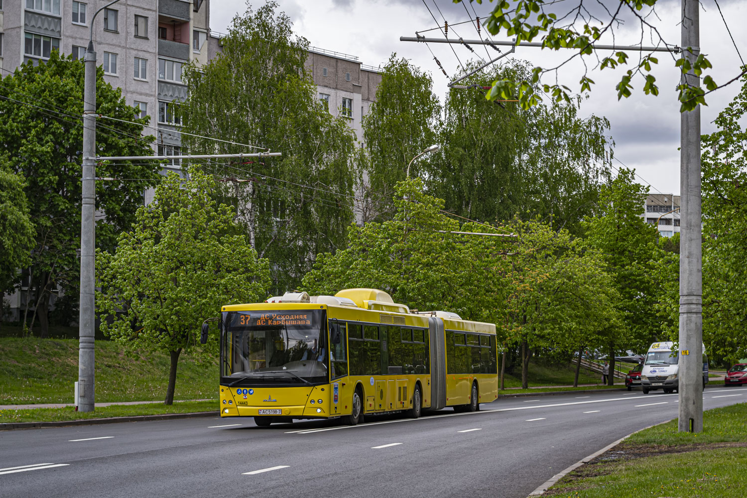 Minsk, MAZ-215.069 # 014443