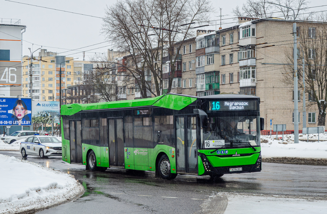 Gomiel, MAZ-303.047 # 26484