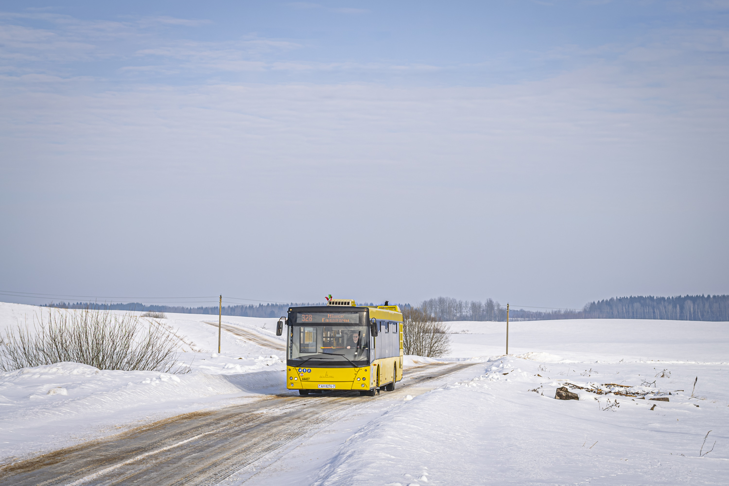 Minsk, MAZ-203.169 # 044407