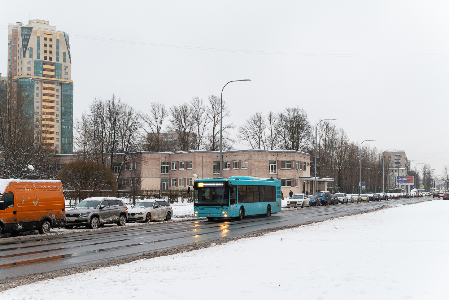 Saint Petersburg, MAZ-203.016 # 8502