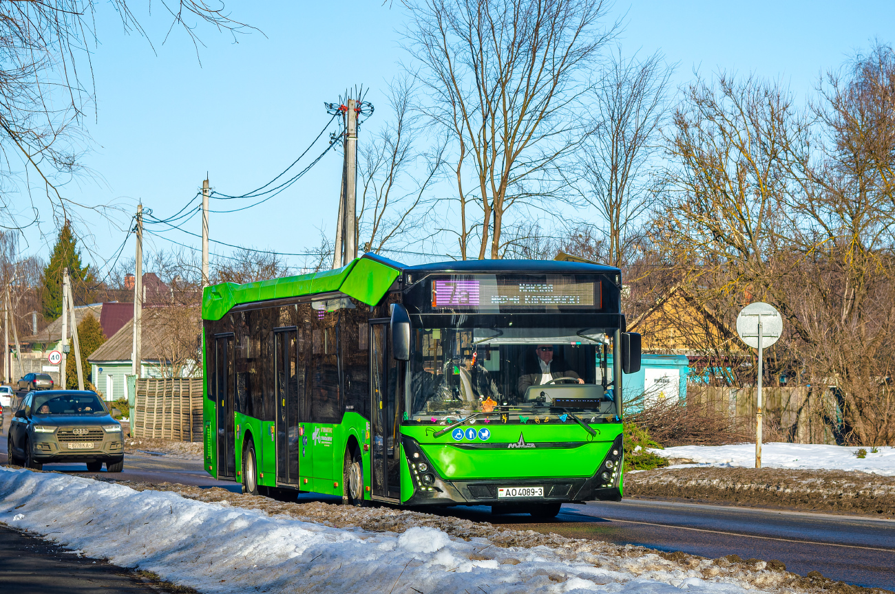 Gomiel, MAZ-303.047 # 13269