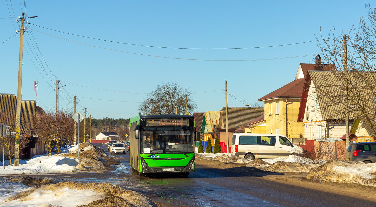 Rechyca, MAZ-303.047 # 015008