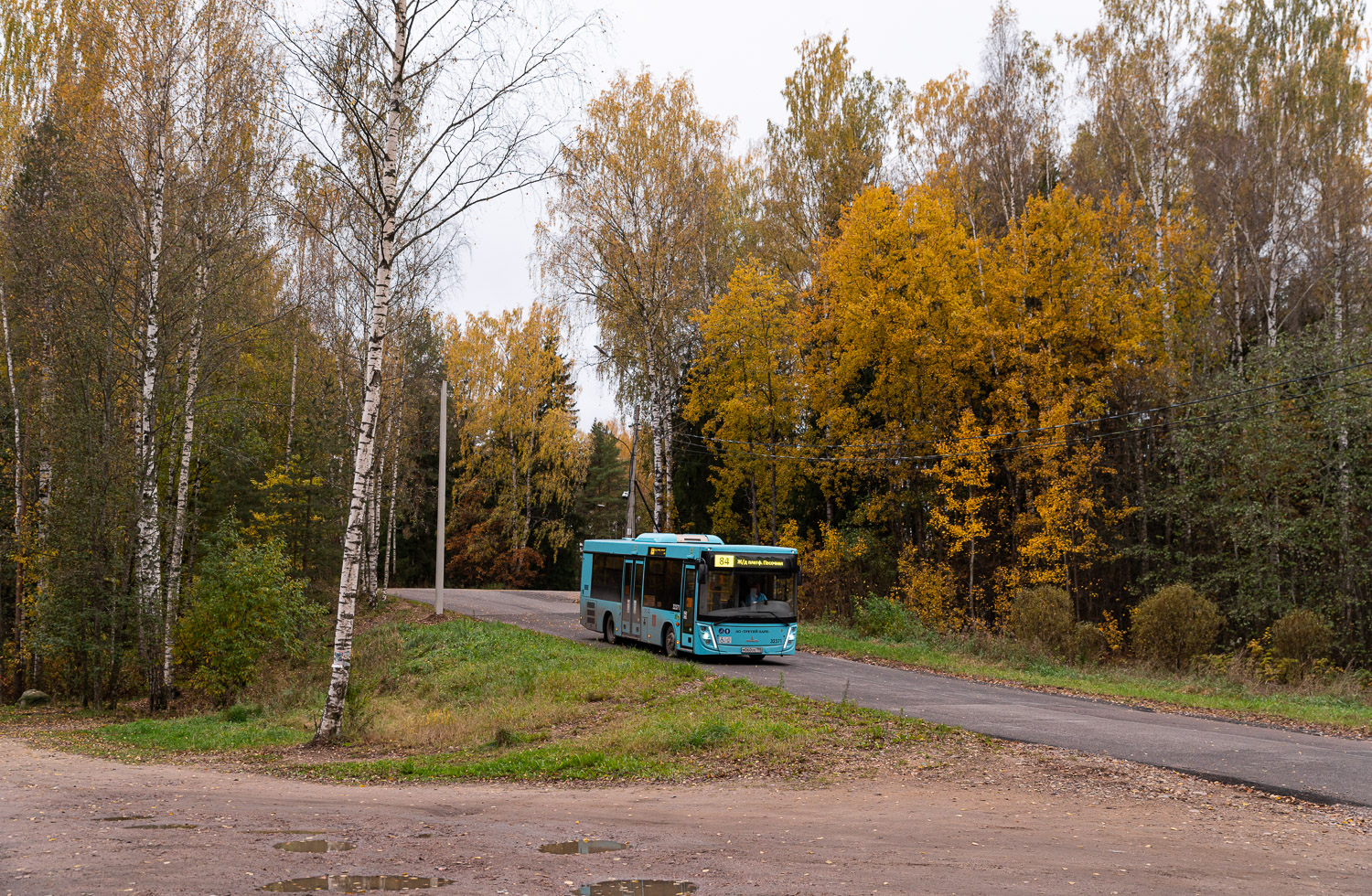 Saint Petersburg, MAZ-206.945 # 32371