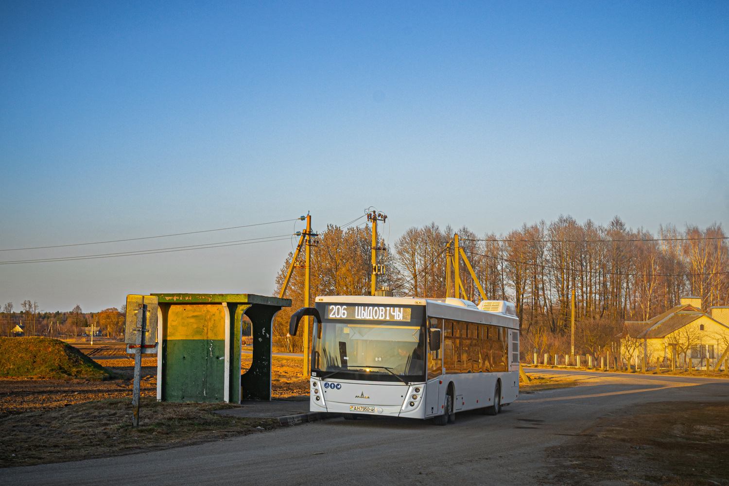 Grodno, MAZ-203.147 # 21466