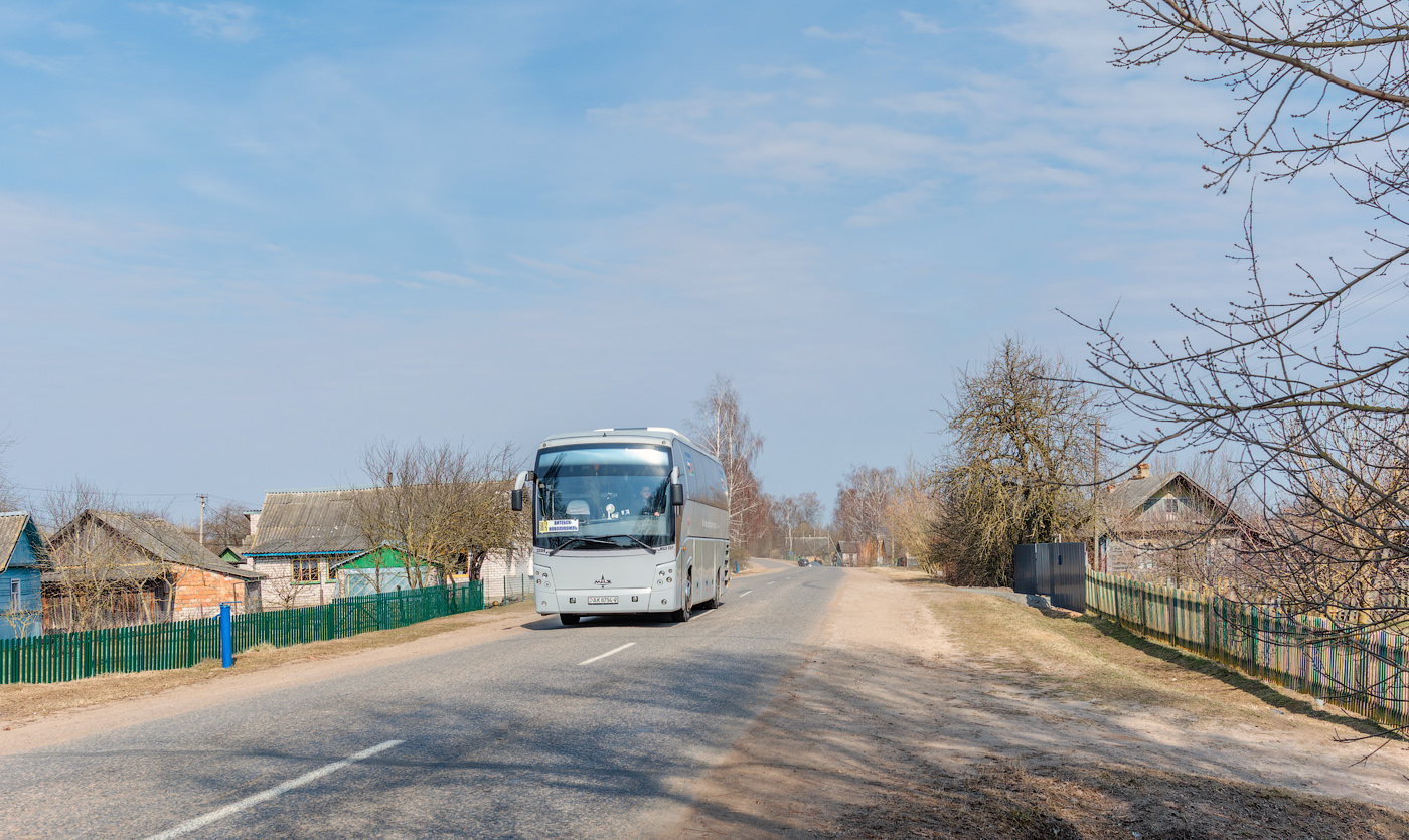 Vitebsk, MAZ-251.062 # АК 8794-2