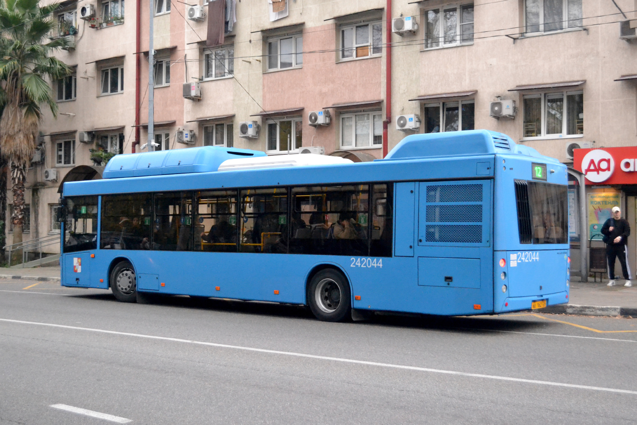 Sochi, MAZ-203.C65 # 242044