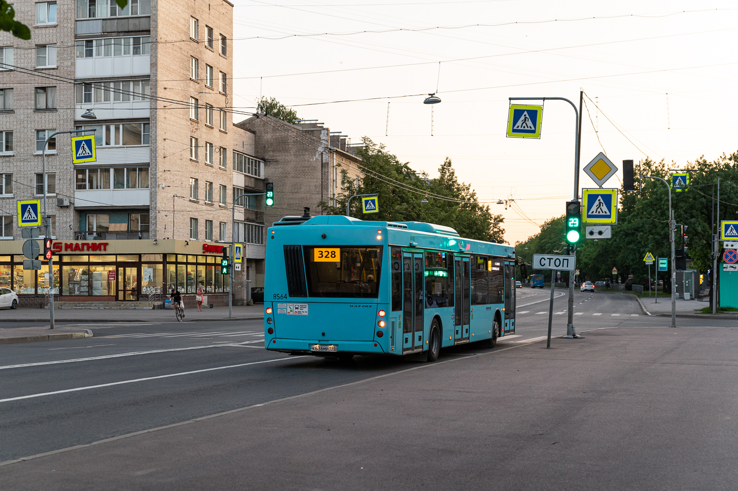 Saint Petersburg, MAZ-203.016 # 8564