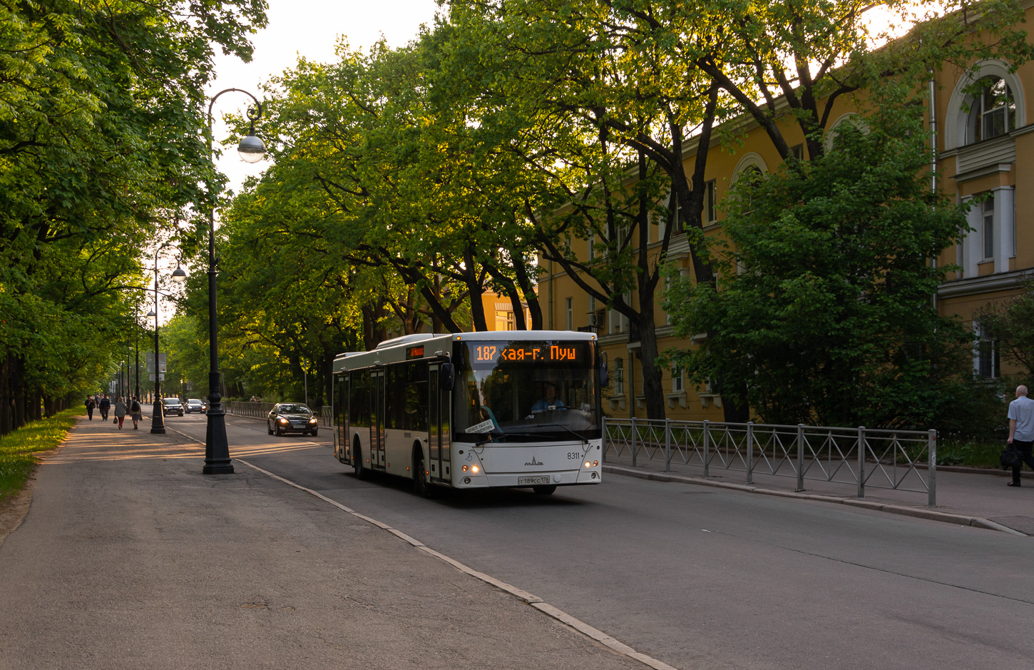 Saint Petersburg, MAZ-203.085 # 8311
