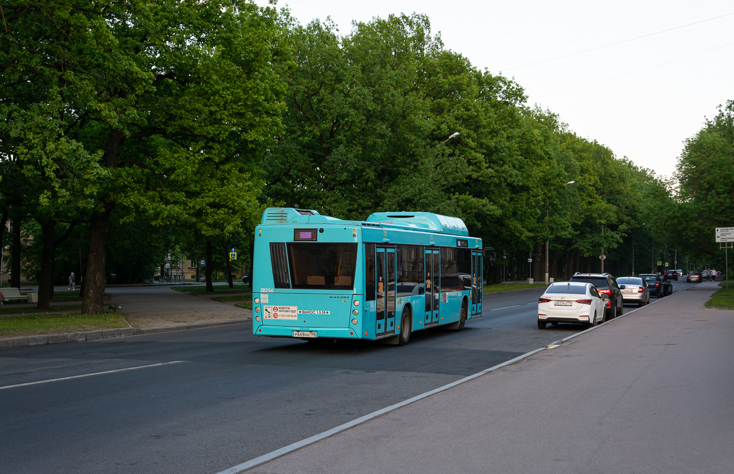 Saint Petersburg, MAZ-203.948 # 38256