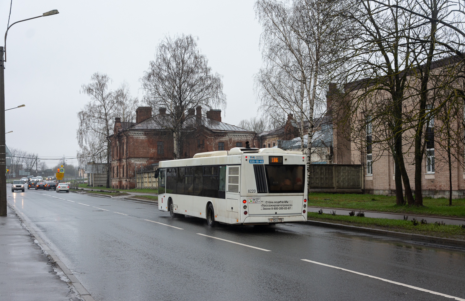 Saint Petersburg, MAZ-203.085 No. 8220