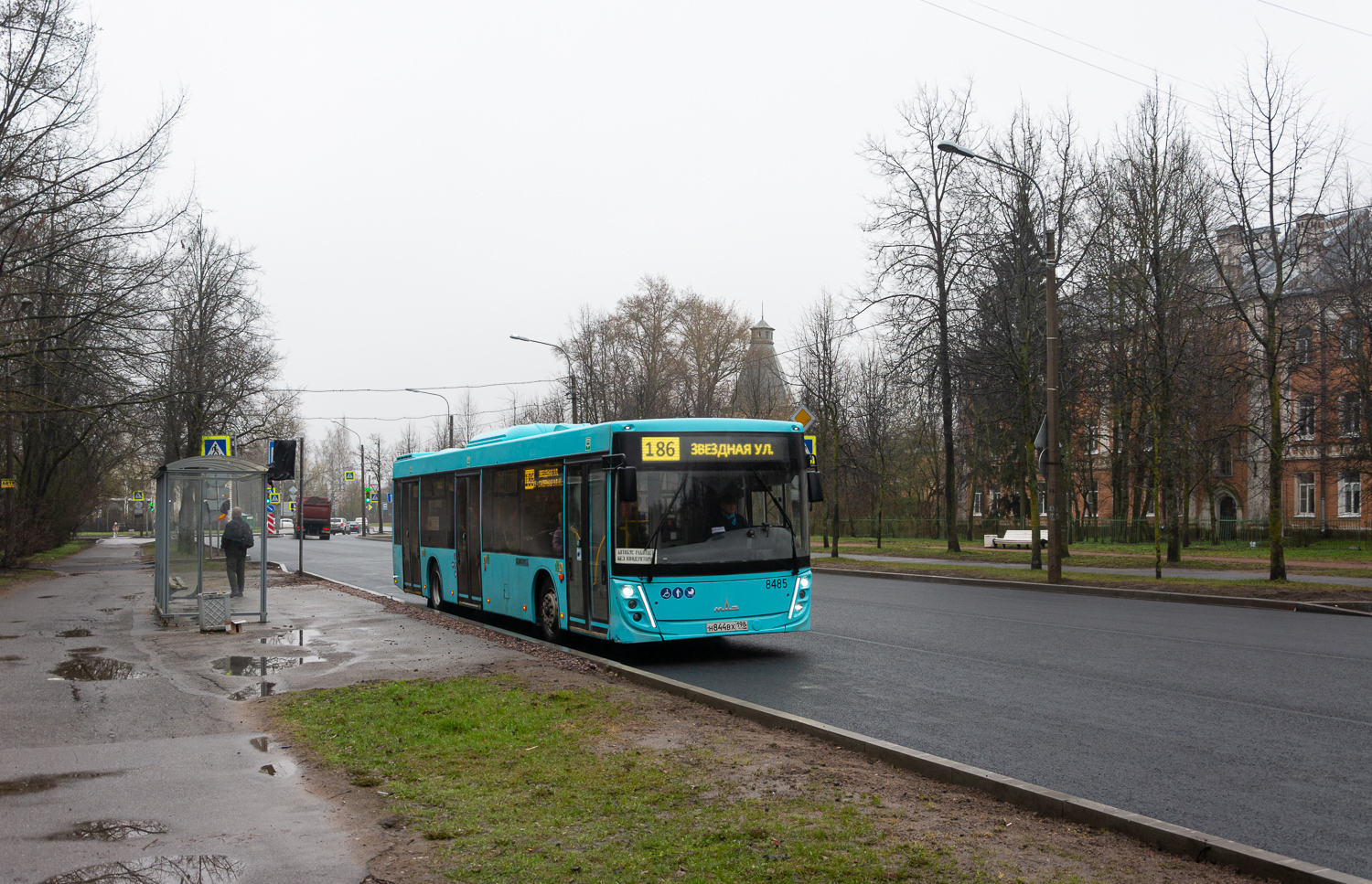 Saint Petersburg, MAZ-203.047 # 8485