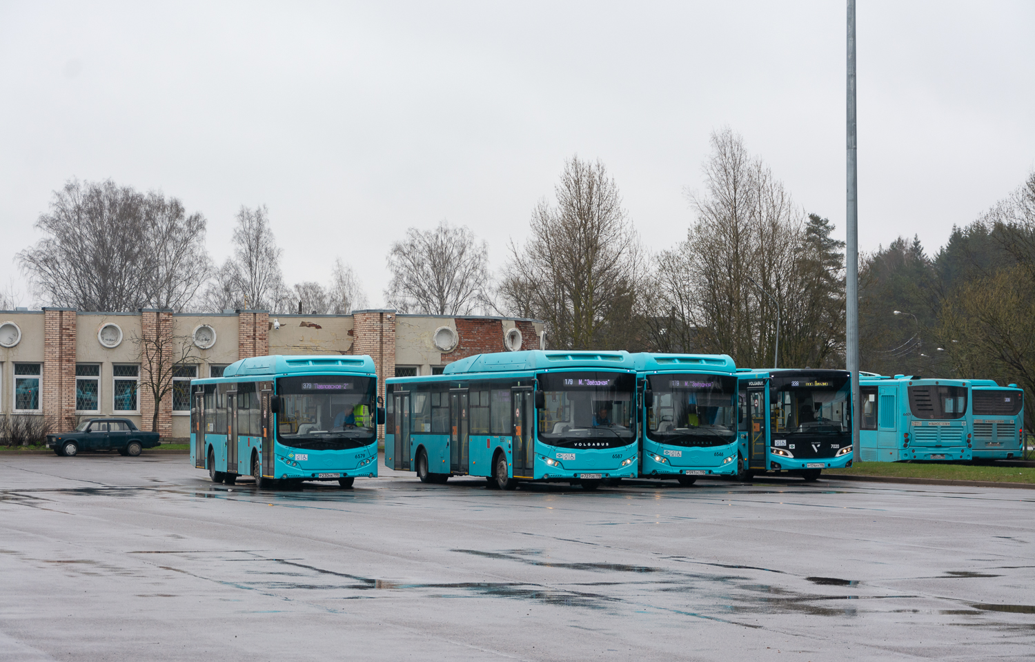 Saint Petersburg, Volgabus-5270.G4 (CNG) # 6579; Saint Petersburg, Volgabus-5270.G4 (CNG) # 6587