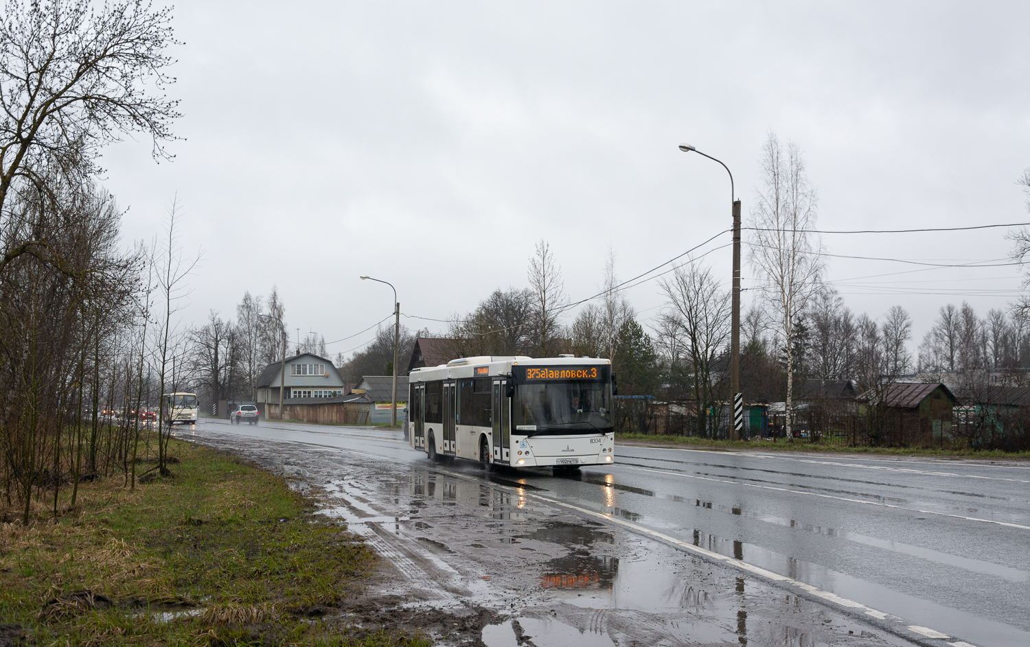 Saint Petersburg, MAZ-203.085 # 8334