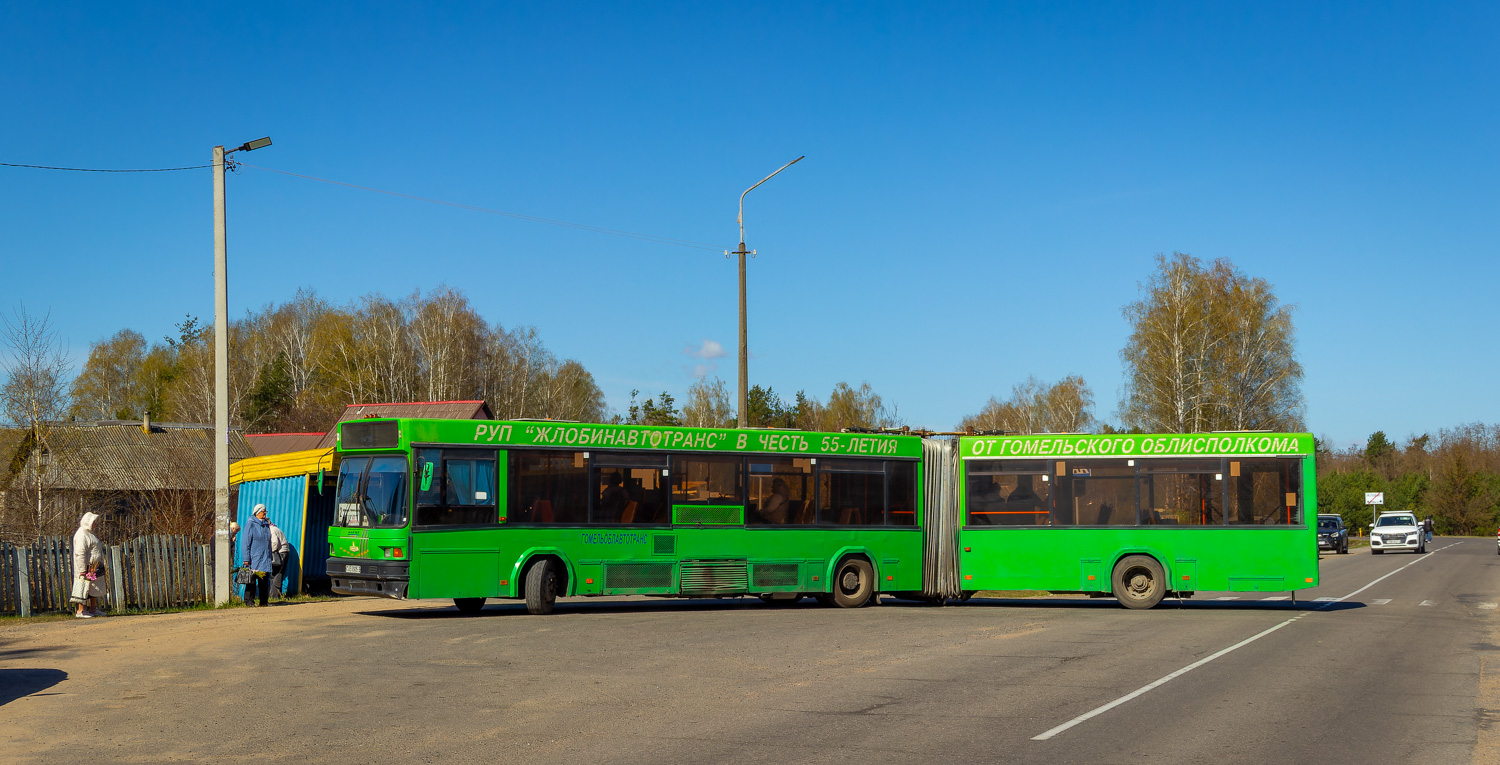 Zhlobin, MAZ-105.065 # 35143
