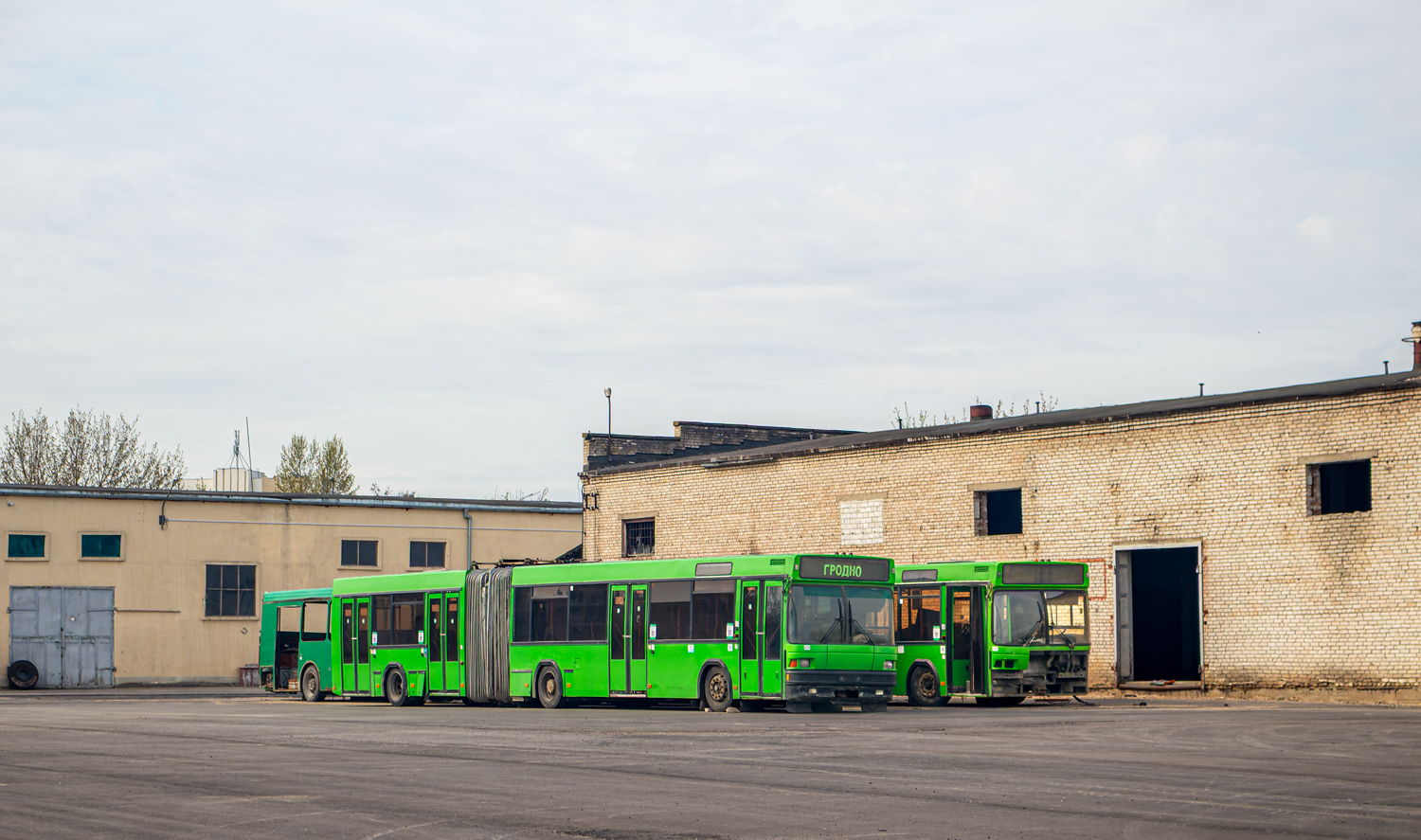 Grodno, MAZ-105.060 # 42056