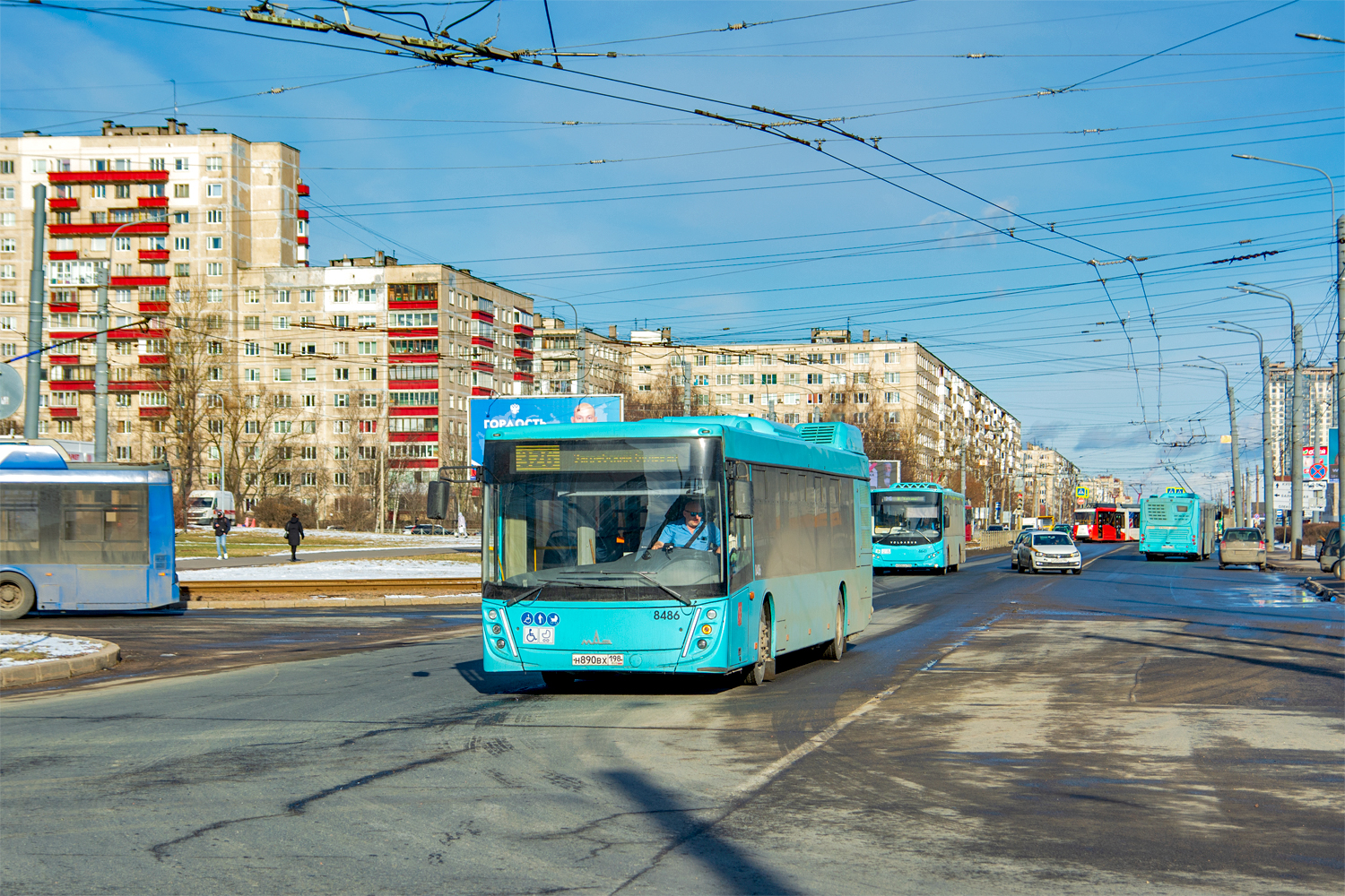 Saint Petersburg, MAZ-203.047 # 8486