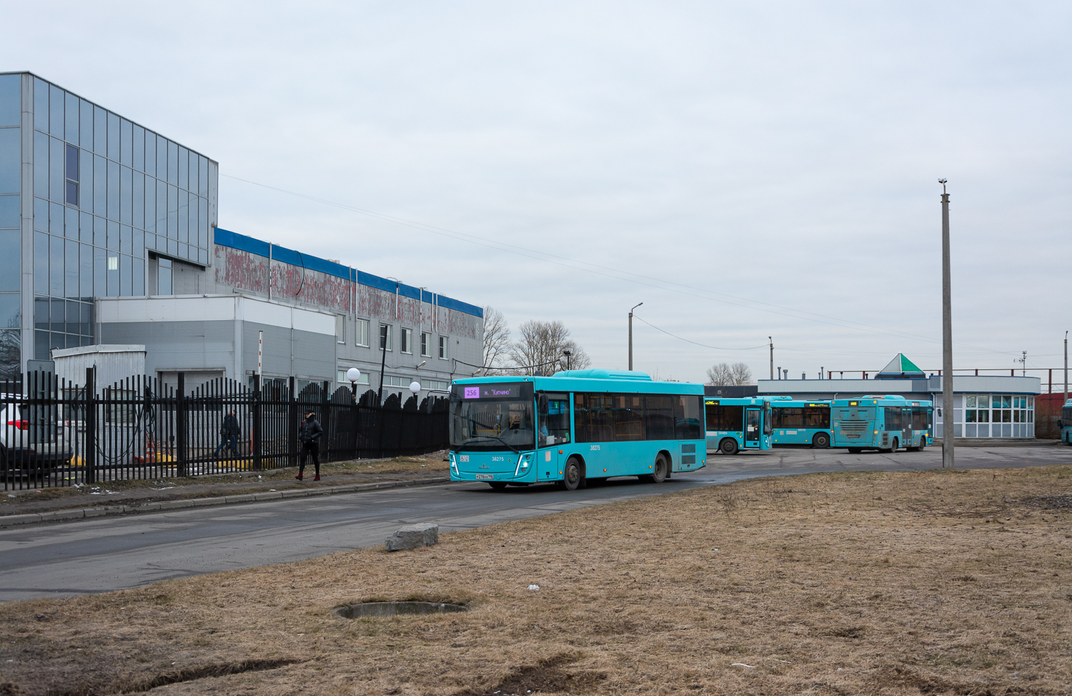 Saint Petersburg, MAZ-206.947 # 38275