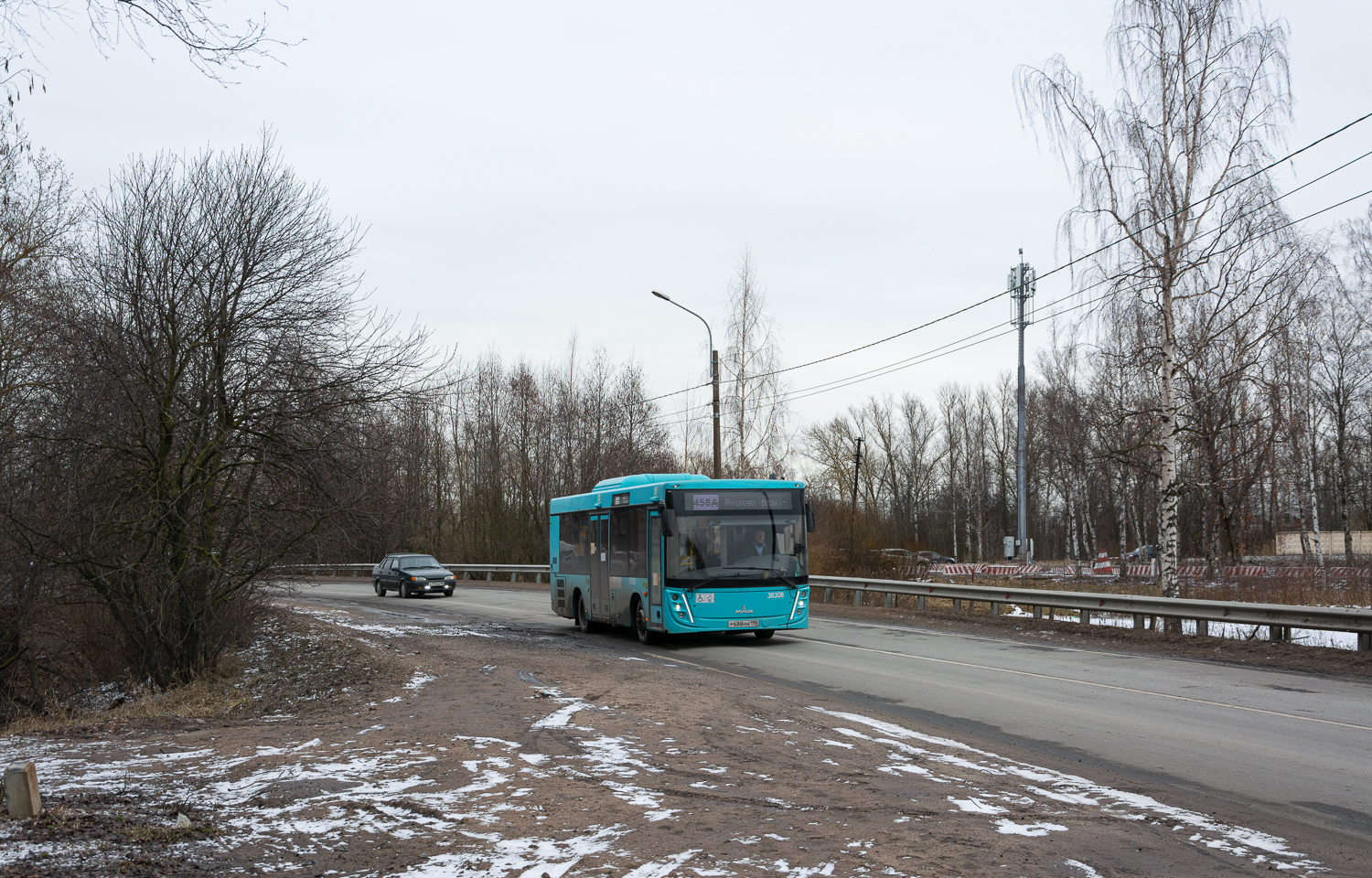Saint Petersburg, MAZ-206.947 # 38308