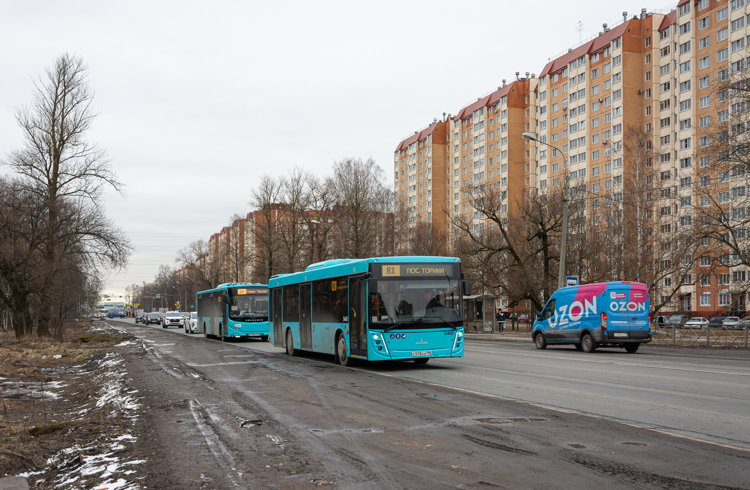 Saint Petersburg, MAZ-203.047 # 5465
