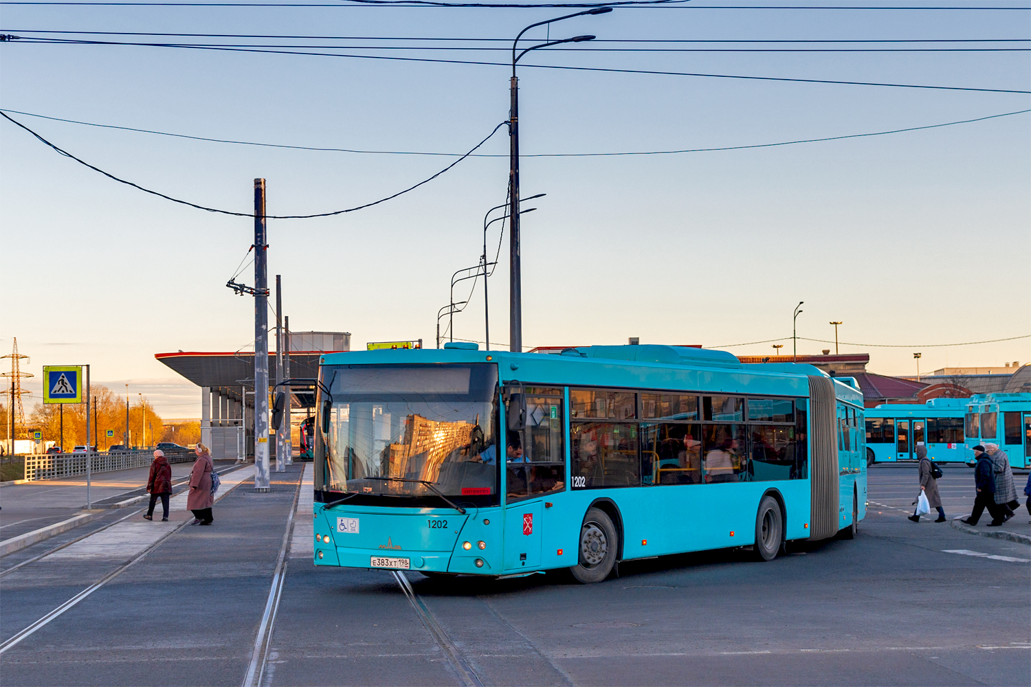 Saint Petersburg, MAZ-216.066 No. 1202