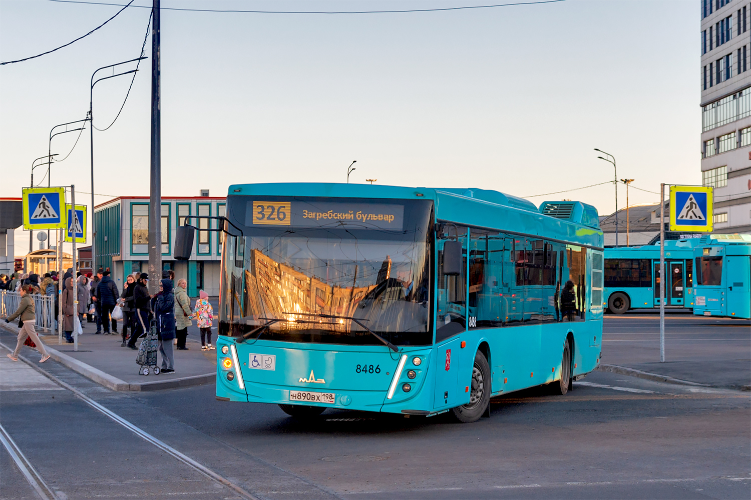 Saint Petersburg, MAZ-203.047 # 8486