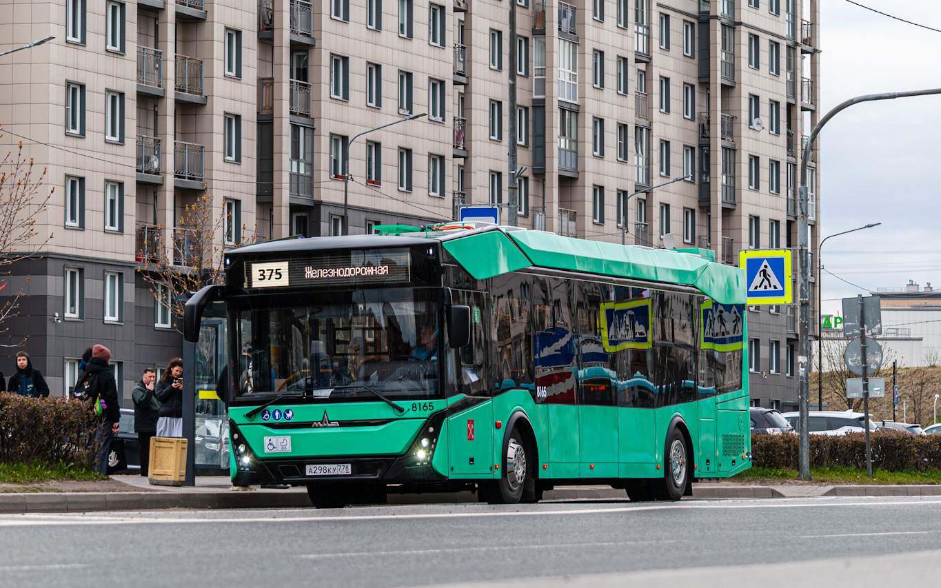 Saint Petersburg, MAZ-303.E23 # 8165