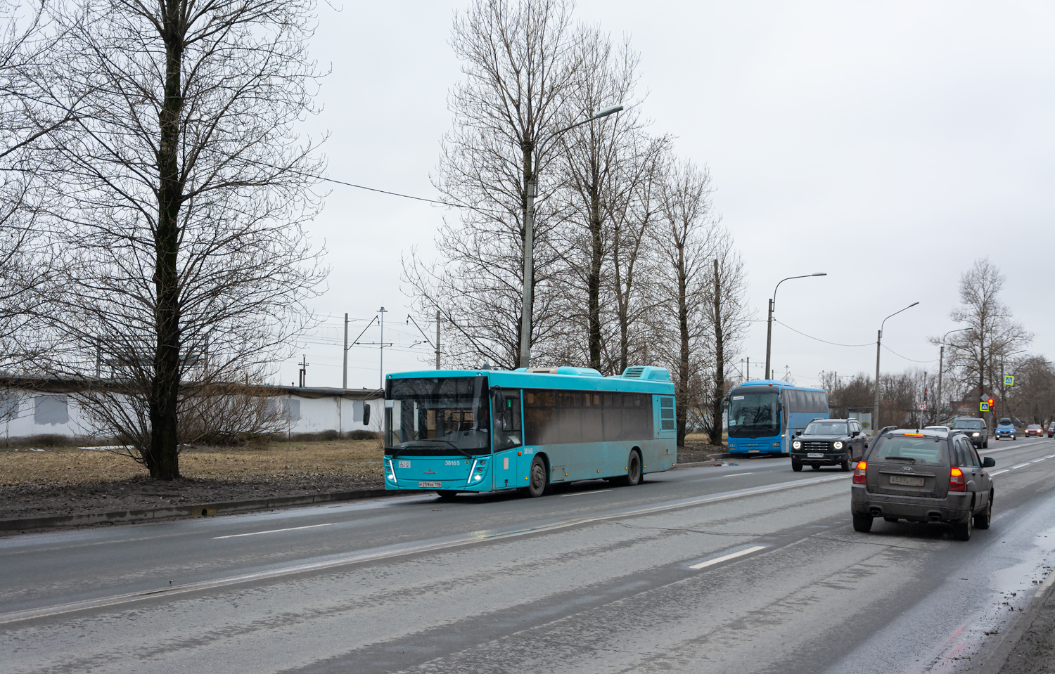 Saint Petersburg, MAZ-203.947 # 38165