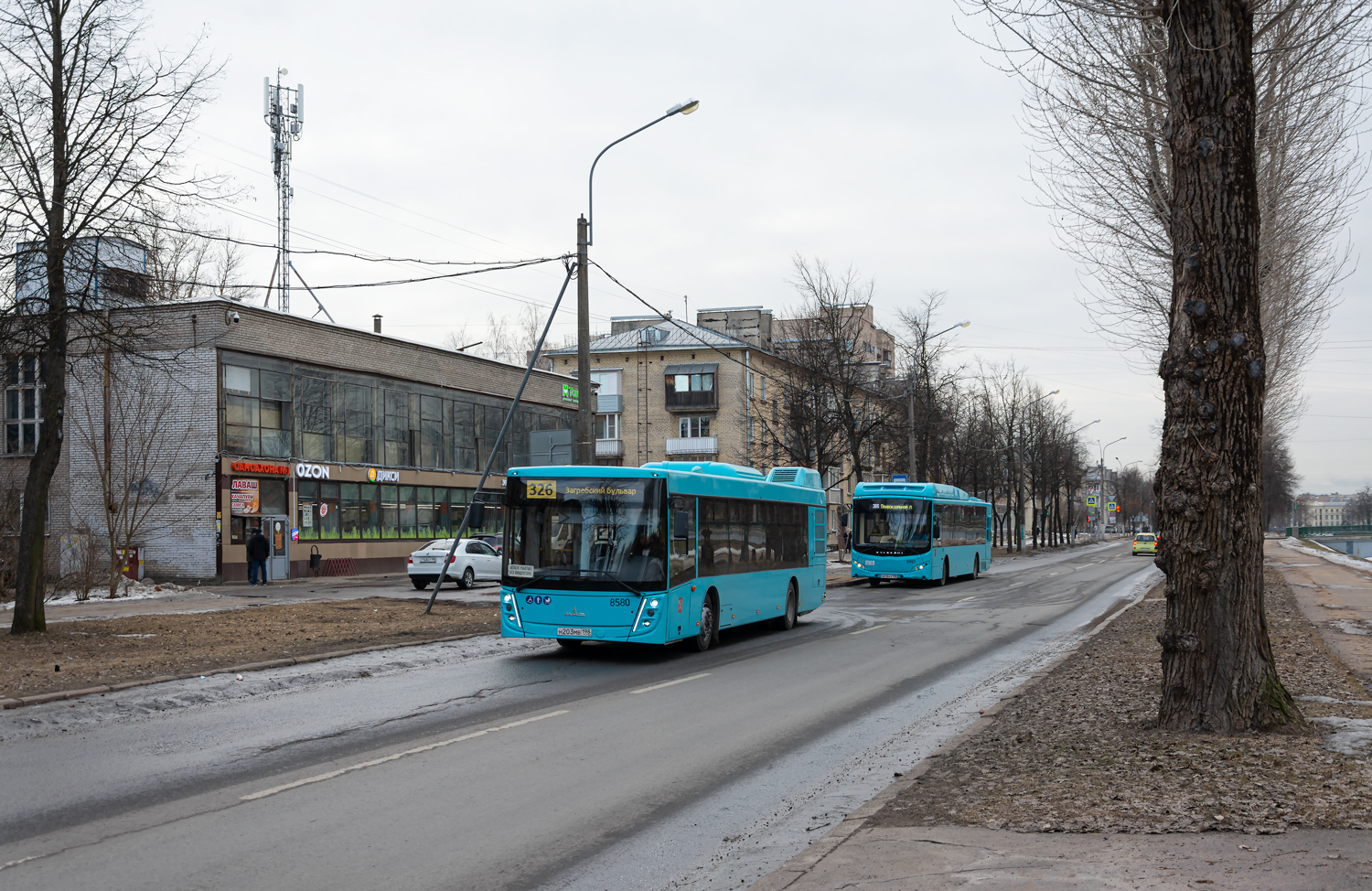 Saint Petersburg, MAZ-203.047 # 8580