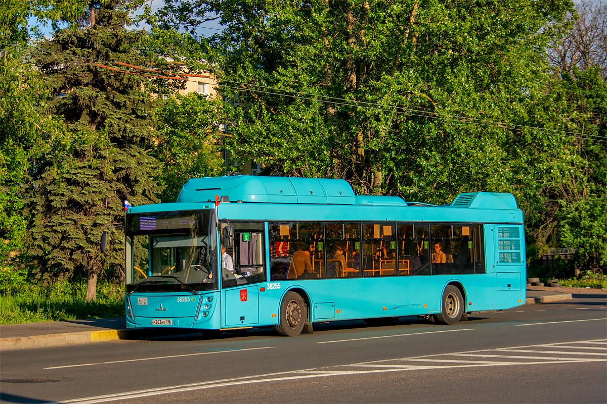 Saint Petersburg, MAZ-203.948 # 38255
