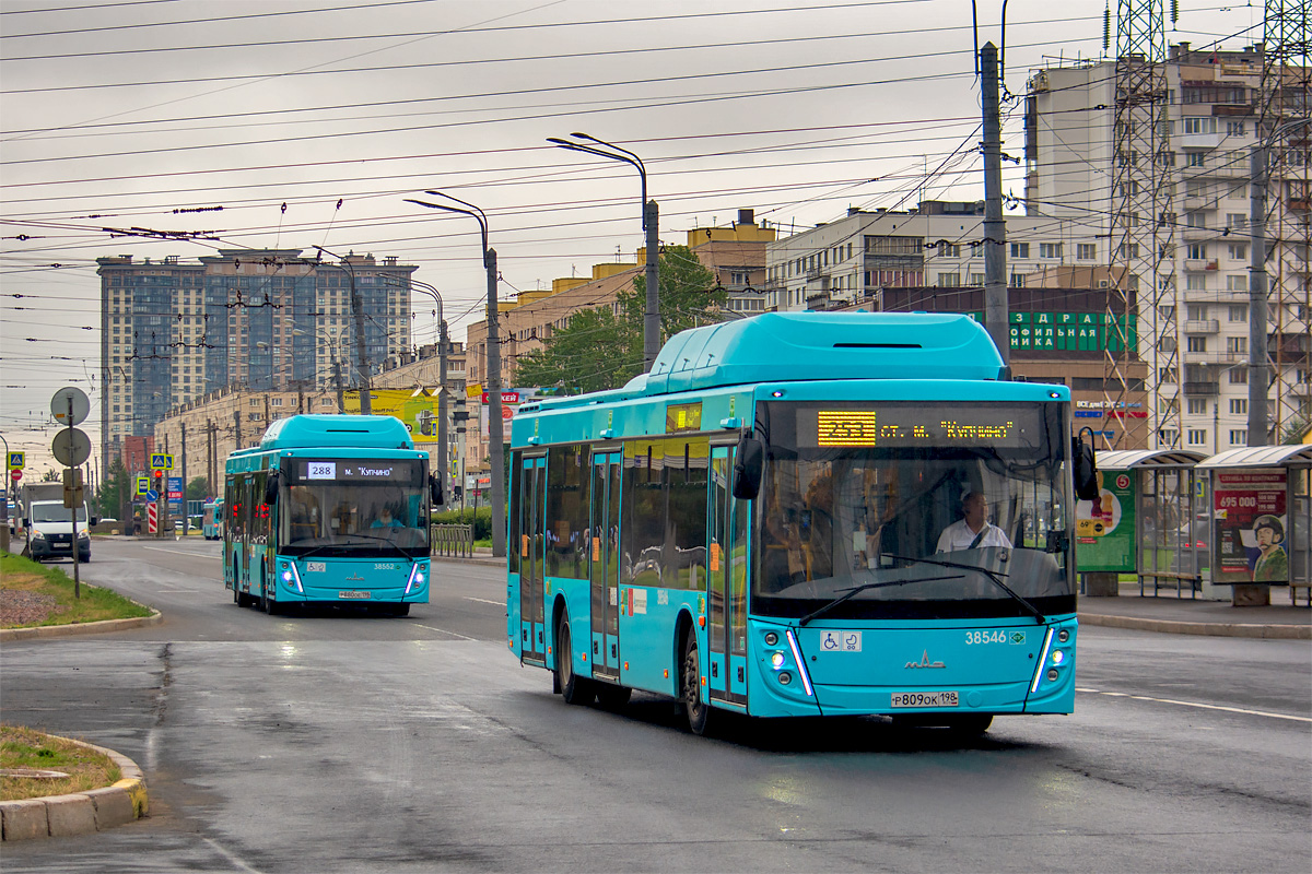 Saint Petersburg, MAZ-203.948 # 38552; Saint Petersburg, MAZ-203.948 # 38546