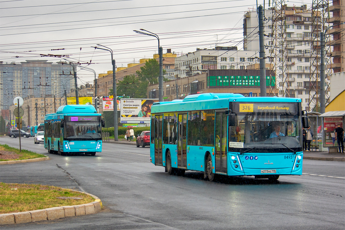 Saint Petersburg, MAZ-203.948 # 38300; Saint Petersburg, MAZ-203.047 # 8493