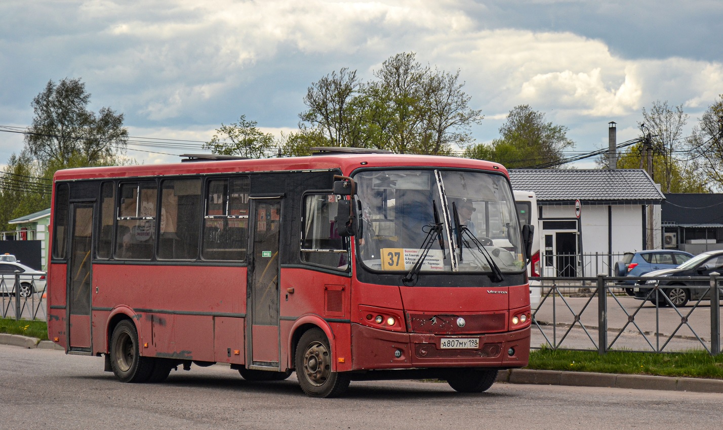 Volosovo, PAZ-320412-04 "Vector" # А 807 МУ 198