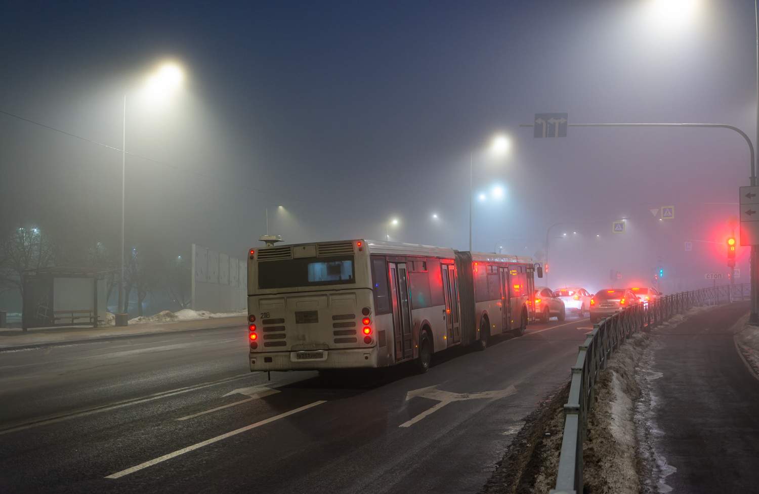 Saint Petersburg, LiAZ-6213.20 # 2118