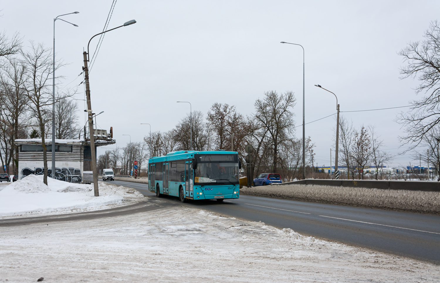 Saint Petersburg, MAZ-203.016 # 8567