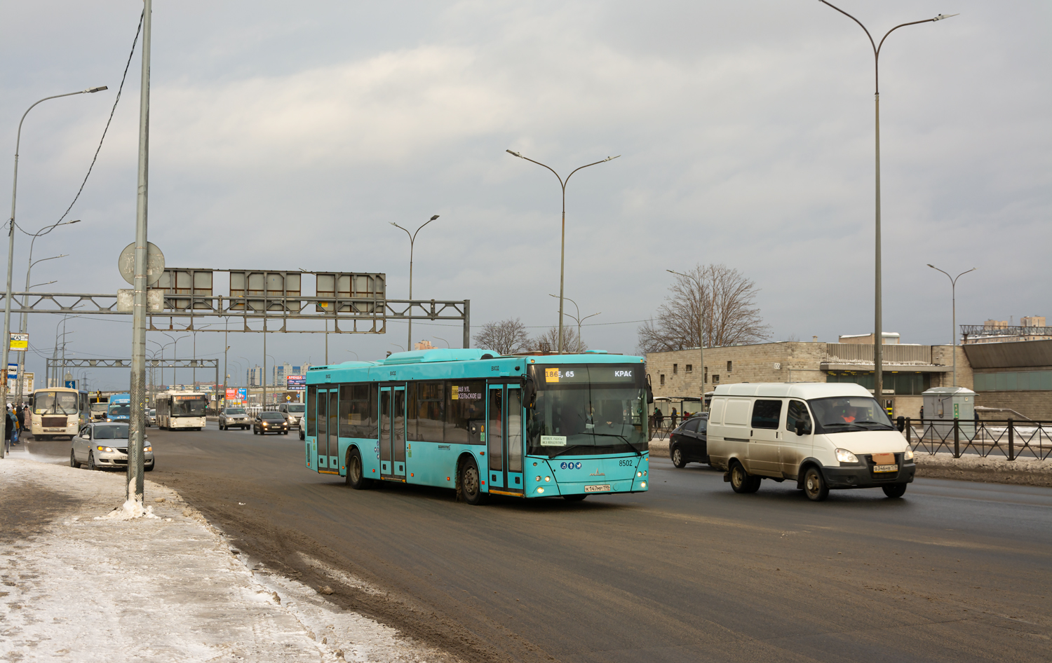 Saint Petersburg, MAZ-203.016 # 8502