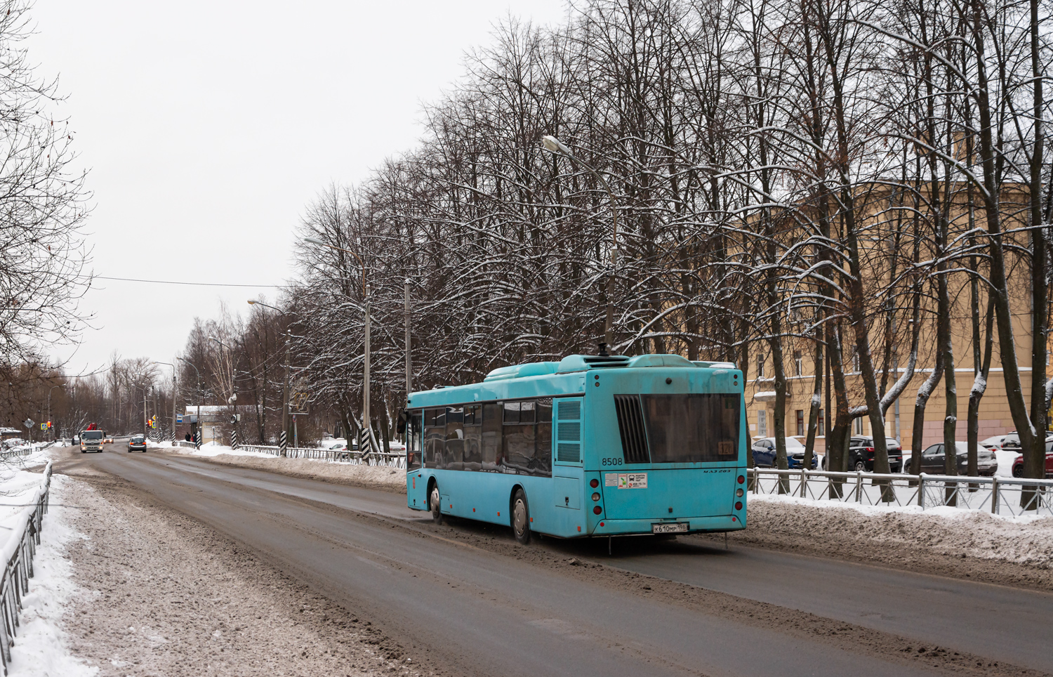 Saint Petersburg, MAZ-203.016 # 8508