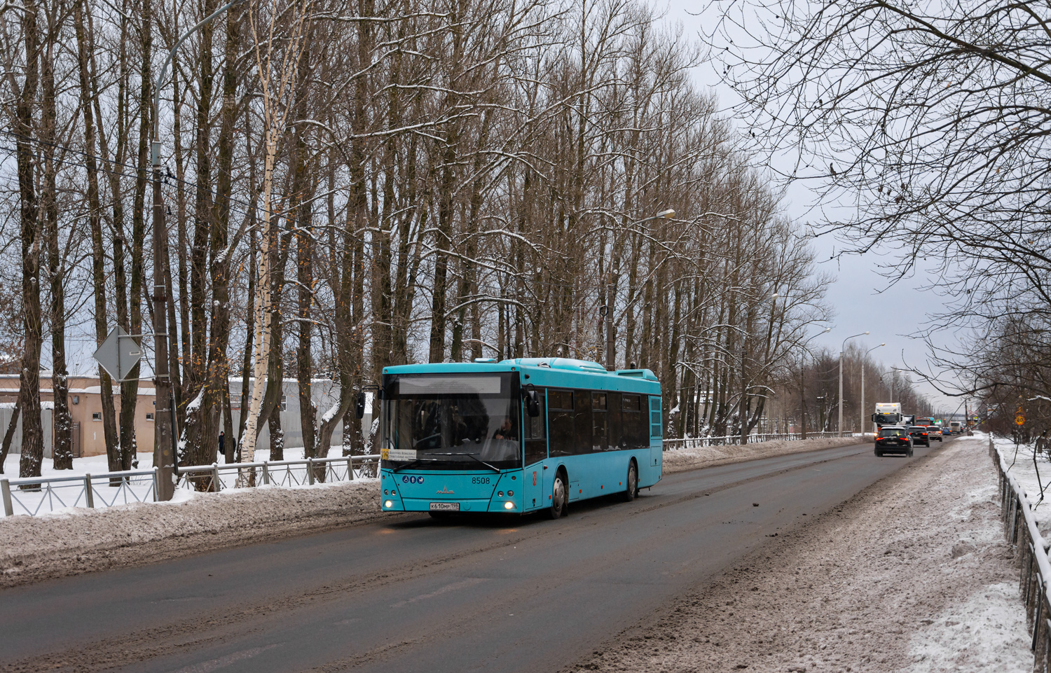 Saint Petersburg, MAZ-203.016 # 8508