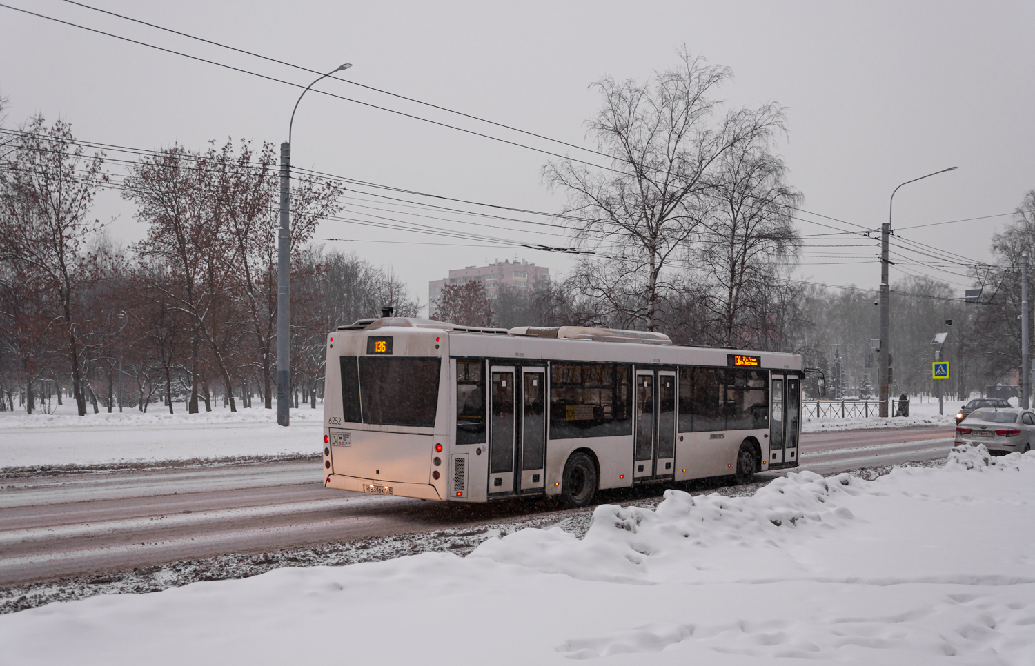 Saint Petersburg, MAZ-203.085 # 6252