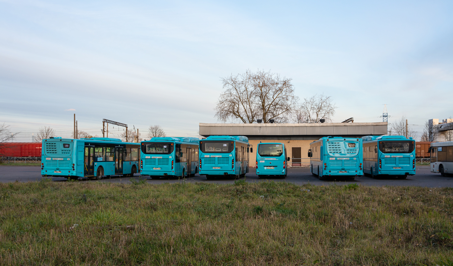 Saint Petersburg, Volgabus-4298.G4 (CNG) # 10209; Saint Petersburg, GAZ-A68R52 City # 1391; Saint Petersburg, Volgabus-5270.G2 (LNG) # 6442