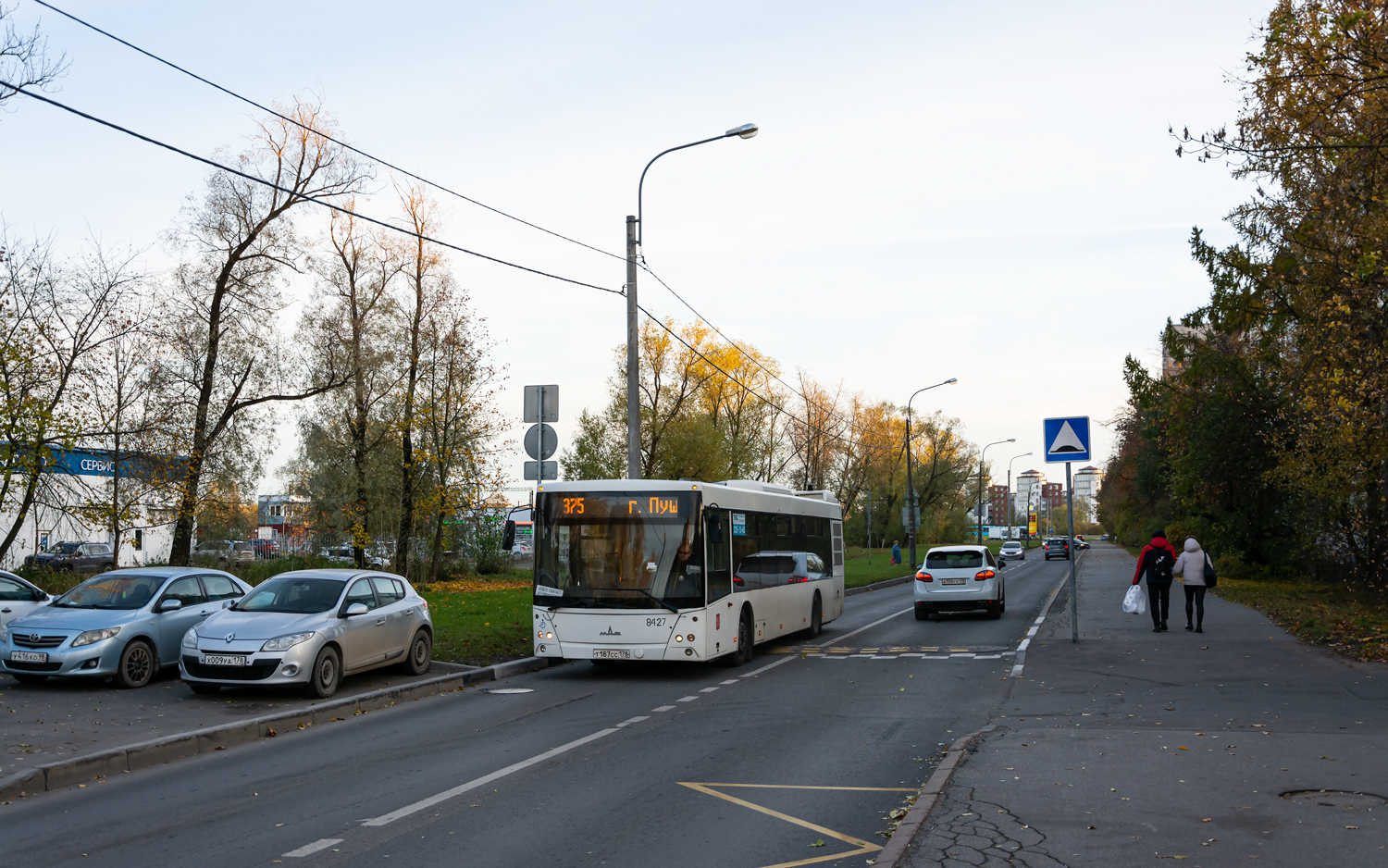 Saint Petersburg, MAZ-203.085 No. 8427