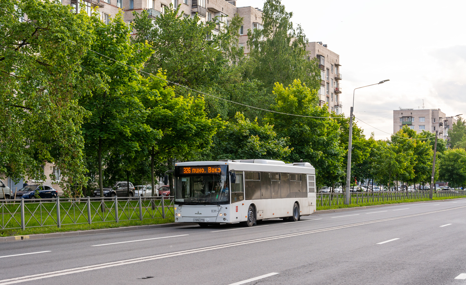Saint Petersburg, MAZ-203.085 # 8311