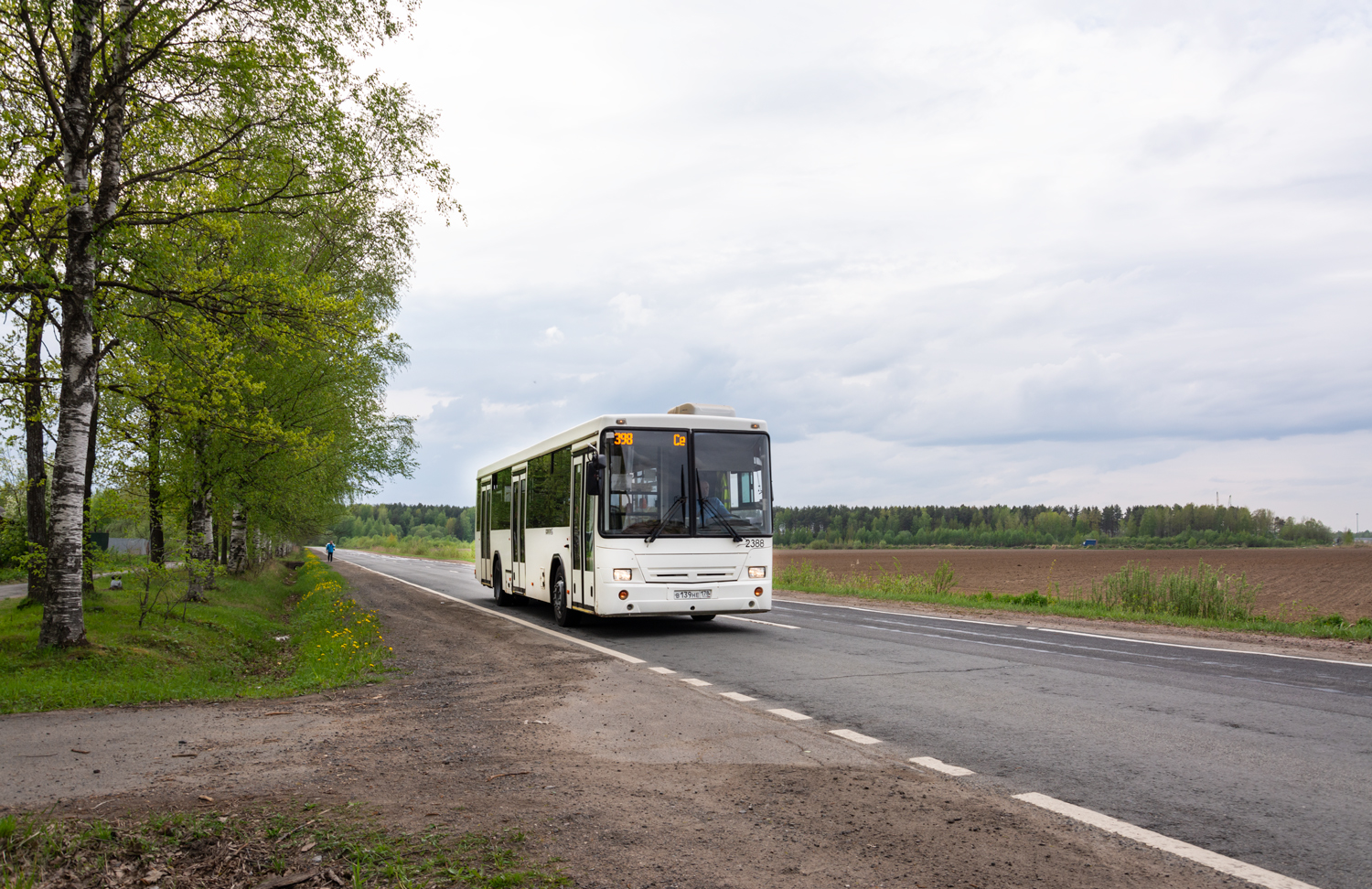 Saint Petersburg, NefAZ-52994-40-42 # 2388