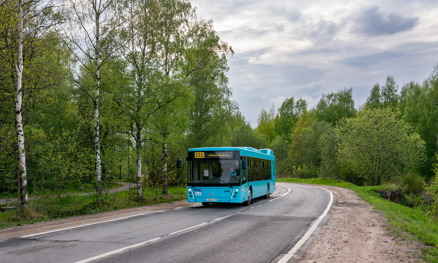 Saint Petersburg, MAZ-203.047 Nr. 2486