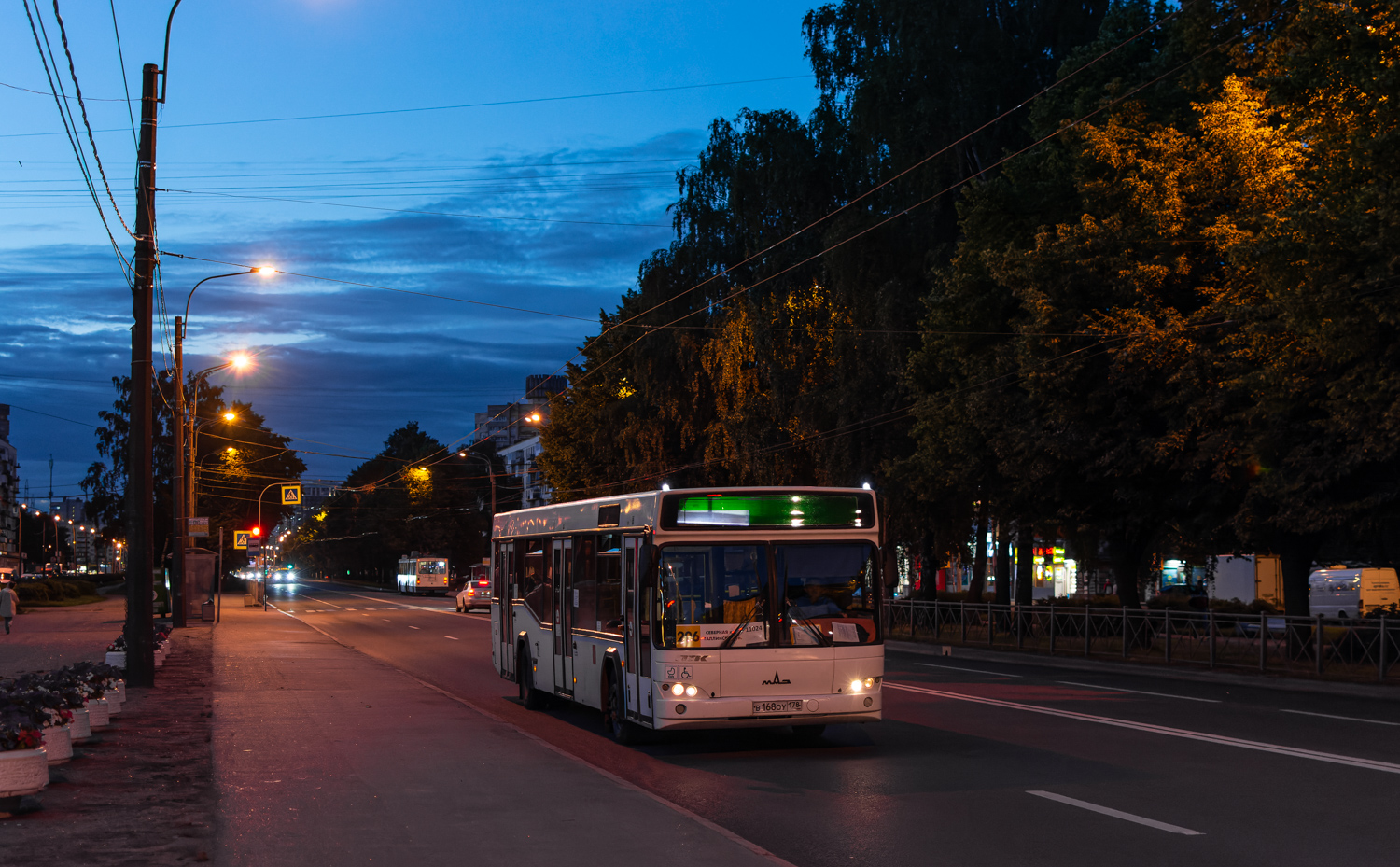 Saint Petersburg, MAZ-103.485 # 11024